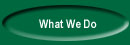 What We Do